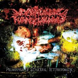 Polymorphism of Structural Heterohromatine